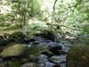 20200809104233-f32959936.jpg