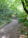 20200809104248-f32988864.jpg
