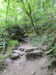 20200809104609-f33114432.jpg