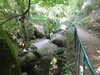 20200809104919-f33229504.jpg