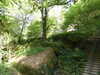 20200809105023-f33285184.jpg