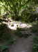 20200809105126-f33327744.jpg
