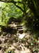 20200809105138-f33341120.jpg