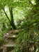 20200809105240-f33368640.jpg