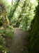 20200809105909-f33452160.jpg