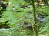 20200809110455-f33563328.jpg