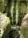 20200809111535-f33858752.jpg