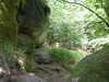 20200809114043-P1310017.JPG