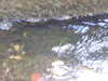20200809120502-f34829440.jpg