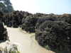 20200810140709-P1310157.JPG