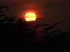 20200810202421-DSCN3998.JPG