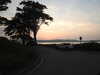 20200810202940-DSCN4005.JPG