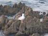 20200810203048-DSCN4011.JPG
