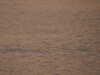 20200810204213-DSCN4033.JPG