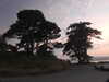 20200810204535-DSCN4035.JPG
