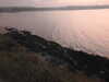 20200810204946-DSCN4040.JPG