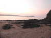 20200810205104-DSCN4044.JPG