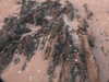 20200810205128-DSCN4045.JPG
