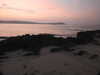 20200810205213-DSCN4046.JPG
