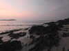 20200810205226-DSCN4047.JPG