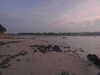 20200810205233-DSCN4048.JPG