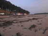 20200810205238-DSCN4049.JPG