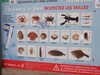 20200810214433-DSCF5237.JPG