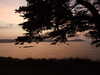 20200810214900-DSCF5240.JPG