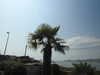 20200811120506-DSCN4055.JPG