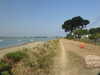 20200811120540-DSCN4057.JPG