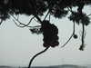 20200811120853-DSCN4065.JPG