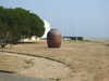 20200811121002-DSCN4068.JPG