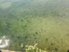 20200811121215-DSCN4069.JPG