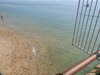 20200811121331-DSCN4072.JPG
