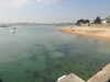 20200811121350-DSCN4073.JPG