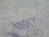 20200811121438-DSCN4074.JPG