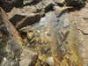 20200811121751-DSCN4077.JPG