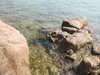 20200811121820-DSCN4078.JPG