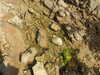 20200811121936-DSCN4082.JPG