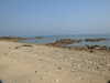 20200811122113-DSCN4085.JPG