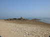 20200811122203-DSCN4087.JPG