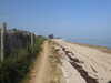 20200811122259-DSCN4090.JPG