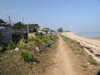 20200811122342-DSCN4091.JPG
