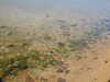 20200811124113-DSCN4102.JPG