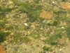 20200811124123-DSCN4103.JPG