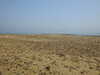 20200811124240-DSCN4104.JPG