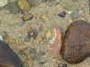 20200811124326-DSCN4106.JPG