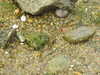 20200811124727-DSCN4111.JPG