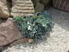20200811124923-DSCN4112.JPG