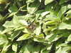 20200811125314-DSCN4114.JPG